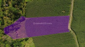 Hot List Di Jual Tanah View Laut Lokasi Tegal Mengkeb Selemadeg Tabanan