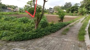 Di Jual Tanah Pekarangan di Barat SD Model Sleman