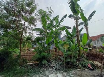 Tanah di Komplek Budi Indah Pasir Kaliki