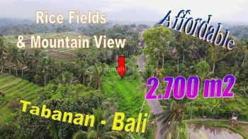 Pinggir Jalan 2,700 M2 Bentuk Tanah Semi Kotak