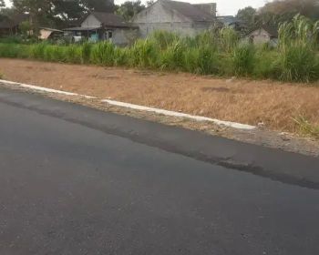 Tanah sewa dekat Jogjabay 600m ld 20m bs sewa 10thn