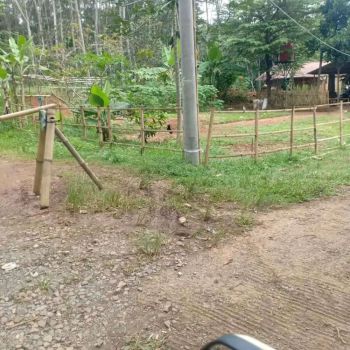 Tanah datar keu jalan raya cuma 500m