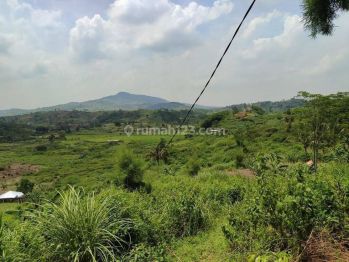 Tanah di jual bogor sentul pabuaran citeureup