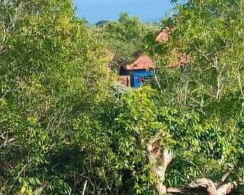 Dijual tanah ocean view di Pantai Green Bowl Ungasan