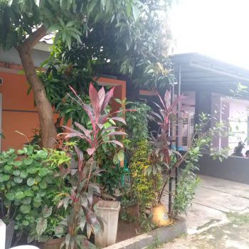 Kontrakan tahunan satu rumah dalam komplek