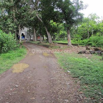 Kavling Tanah Desa Pusaka Jaya Daerah Subang Jawa Barat