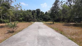 Tanah Murah Selatan Kampus Umy Jogja, Lingkungan Cluster