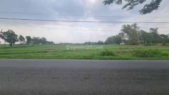 Tanah istimewa di Jalan Raya Waduk Cengklik Boyolali Solo