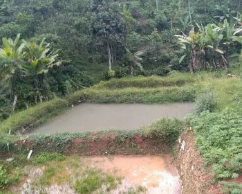 DIJUAL TANAH EMPANG COCOK UNTUK BETERNAK IKAN