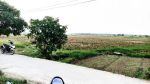 thumbnail-dijual-tanah-hamparan-sawah-di-tambun-3-bagian-samudrajaya-bks-7