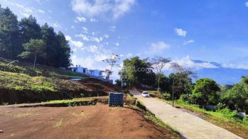 Tanah murah di jln alternatif puncak bogor warudoyong SHM