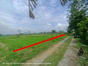 jual sebidang tanah sawah di Sidoluhur Godean