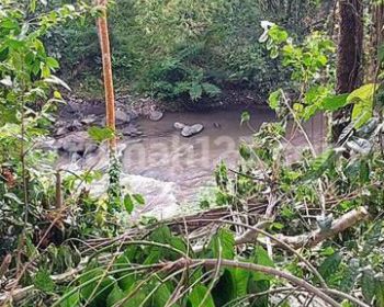 Tanah Sungai Ayung River Rafting Badung