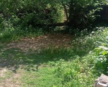 Dijual tanah perkebunan