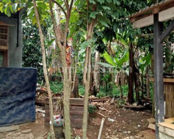 Tanah/ Kavling di Pamulang Ciater Tangerang Selatan Dekat BSD