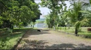 Disewa gudang Dadap siap pakai bebas banjir