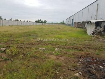 Tanah Disewakan Jalan Demak Godong, Demak