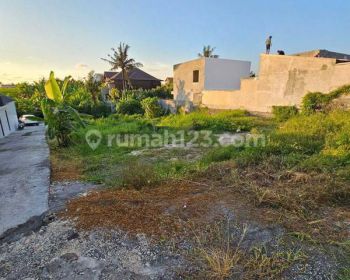 Land for rent near lima beach pererenan