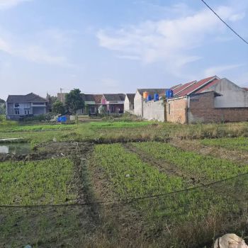 Jual Tanah Siap Bangun lokasi Strategis Sukarame