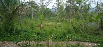 Pekarangan Akses Mobil Karangpandan