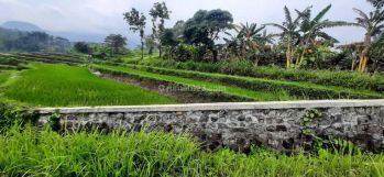 Dijual Lahan Bendorejo, Pacet Mojokerto