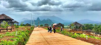 TANAH KAVLING DEKAT JALAN PROVINSI