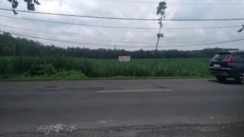 Dijual Tanah Lokasi strategis dekat exit Tol Ngawi Harga Murah