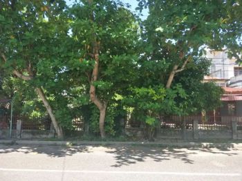 Rumah & Tanah siap bangun di lokasi strategis pusat kota