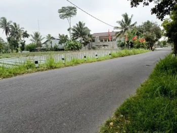 Sell Tanah: sawah pakem sleman