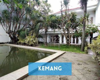 Rumah Mewah Private Pool Ada Paviliun Dan Taman Luas