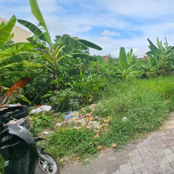 JUAL TANAH DI PERERENAN CANGGU