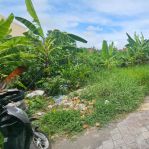 thumbnail-jual-tanah-di-pererenan-canggu-0