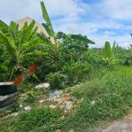 thumbnail-jual-tanah-di-pererenan-canggu-1