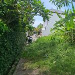 thumbnail-jual-tanah-di-pererenan-canggu-2