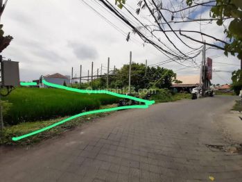Rent land shortcut Canggu luas 30 are yellow zone.
