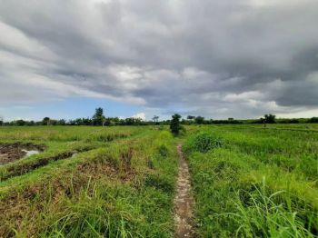 Tanah di Kabupaten Gianyar - Bali WOFF860-2