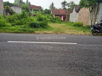 Tanah Pekarangan, Dekat Candi Borobudur, Kab. Magelang.