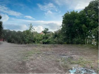 Tanah Murah Timur Kotagede, Cocok Bangun Hunian