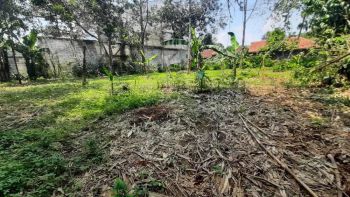 Kavling Murah 200 Jutaan Area Gunung Sindur Bogor