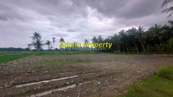 Tanah Dijual Pengasih Dekat Bandara Yia, View Sawah