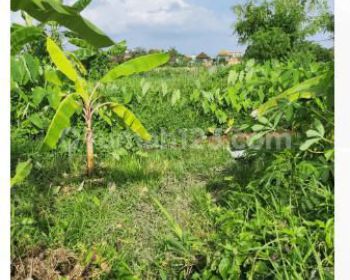 Tanah di Jl. Kedampang Kerobokan Kelod Kuta Utara Badung Bali
, Badung