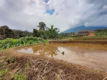 Tanah di jual Cijeruk bogor best view shm