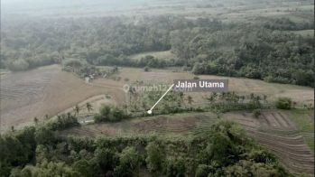 Tanah loss sungai dan pantai di Klecung tabanan