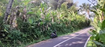 Hanya Rp 1.000.000 per Meter Persegi