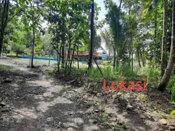 JUAL TANAH KULONPROGO DI BANYUROTO NANGGULAN MURAH