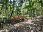 thumbnail-jual-tanah-kulonprogo-di-banyuroto-nanggulan-murah-1