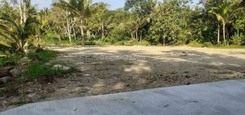 Dekat Pasar Sentolo Baru, Cocok Bangun Kos, Shm 1 Jutaan