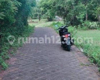 Tanah di cluster palm Purigading jimbaran kuta Selatan Badung Bali