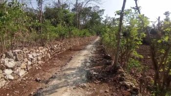 Dijual Tanah Pekarangan Murah