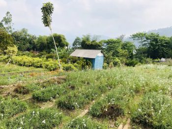 Tanah SHM Bulukerto Batu Pasar Bunga Cocok Untuk Hunian Vila